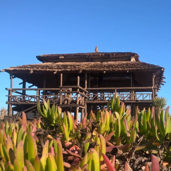 Blue Di Fiore - Pâte Molle